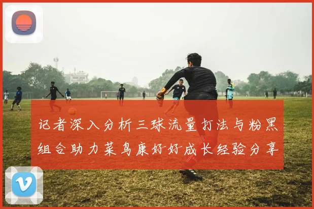 记者深入分析三球流量打法与粉黑组合助力菜鸟康好好成长经验分享
