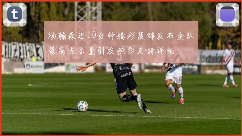 杨瀚森近10分钟精彩集锦发布全队最高点击量引发热烈支持评论